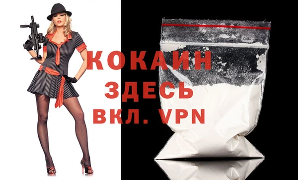стаф Абаза