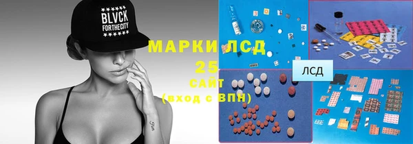 стаф Абаза