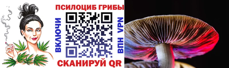 купить наркотик  kraken ONION  Галлюциногенные грибы мицелий  Грязи 