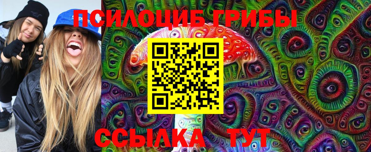Псилоцибиновые грибы Cubensis  Вход с VPN  Грязи 